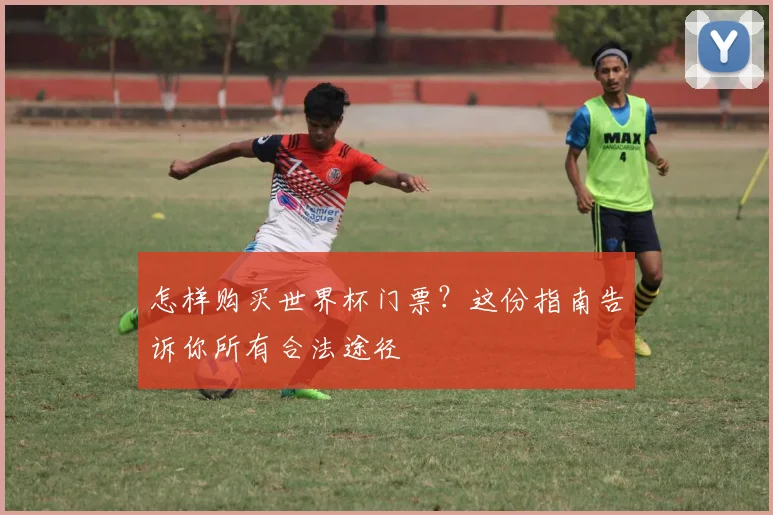 怎样购买世界杯门票？这份指南告诉你所有合法途径