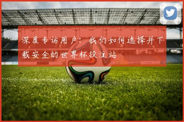 深度专访用户：我们如何选择并下载安全的世界杯投注站